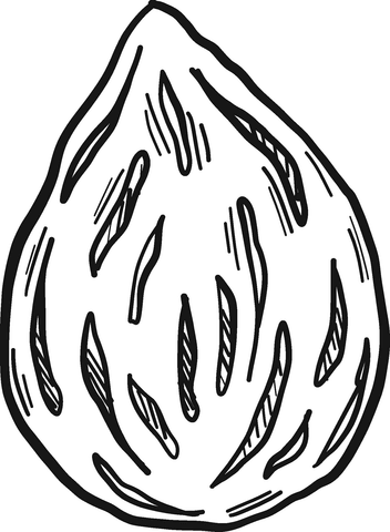 Peach Stone Coloring Page